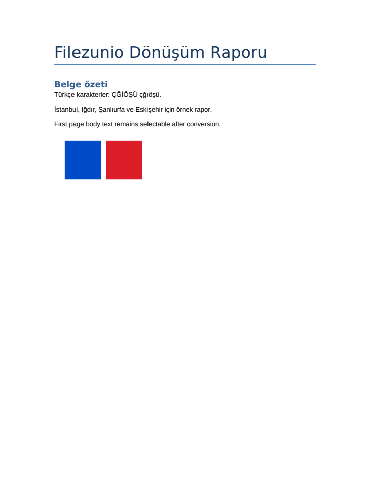 Örnek raporun başlık, Türkçe metin ve iki renkli şekil içeren ilk PDF sayfası
